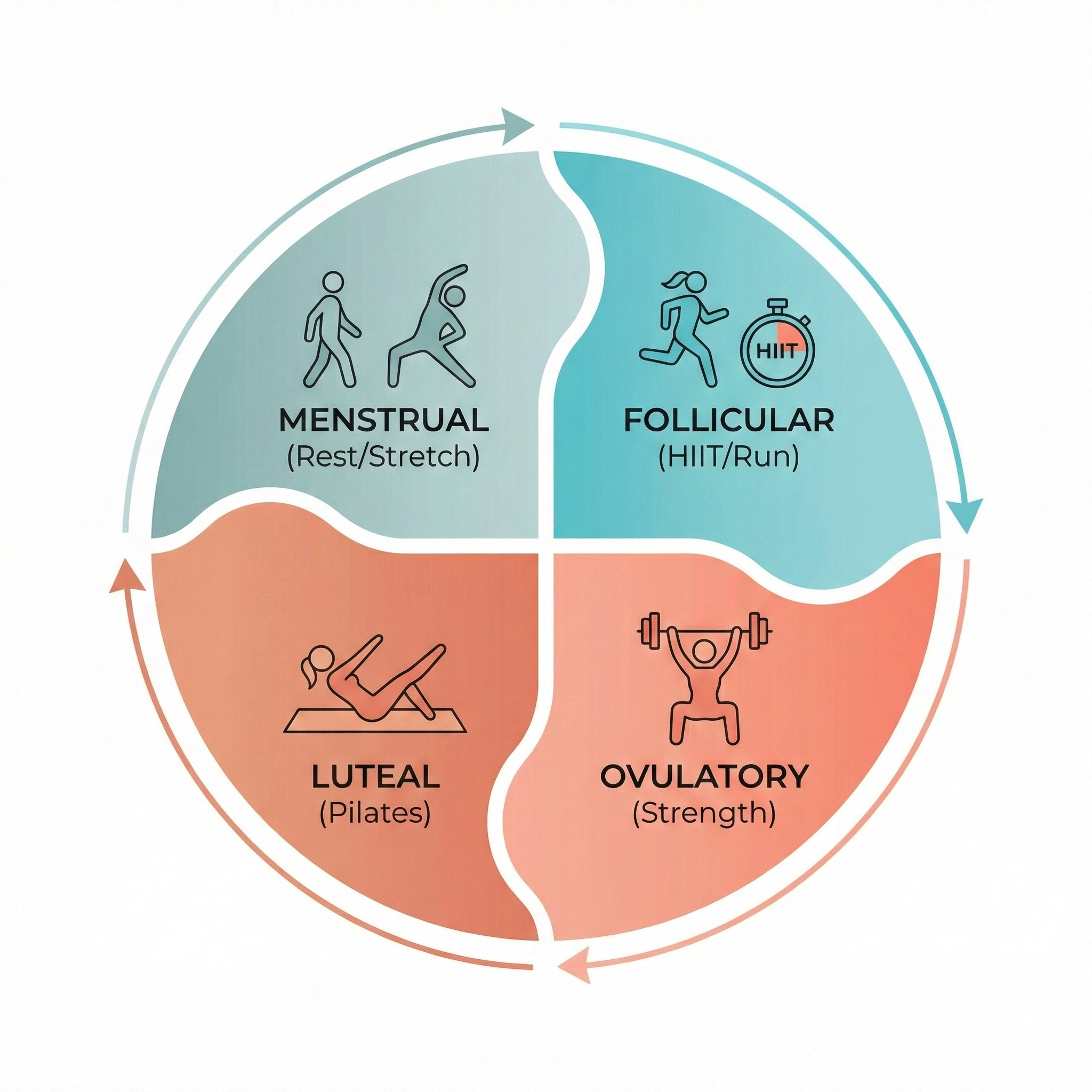 An infographic mapping specific exercises like HIIT, strength training, and yoga to the four phases of the menstrual cycle.