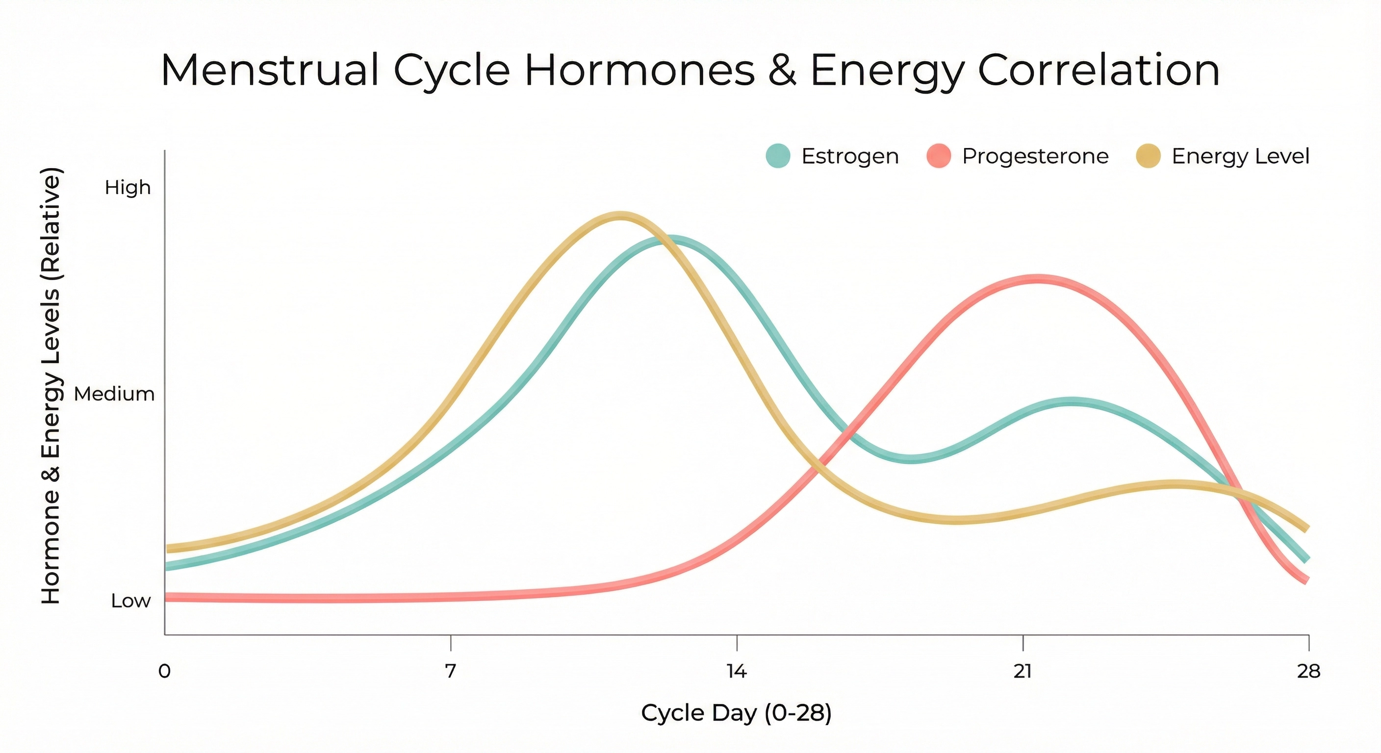 A graph showing how estrogen and progesterone levels correlate with physical energy throughout the menstrual cycle.