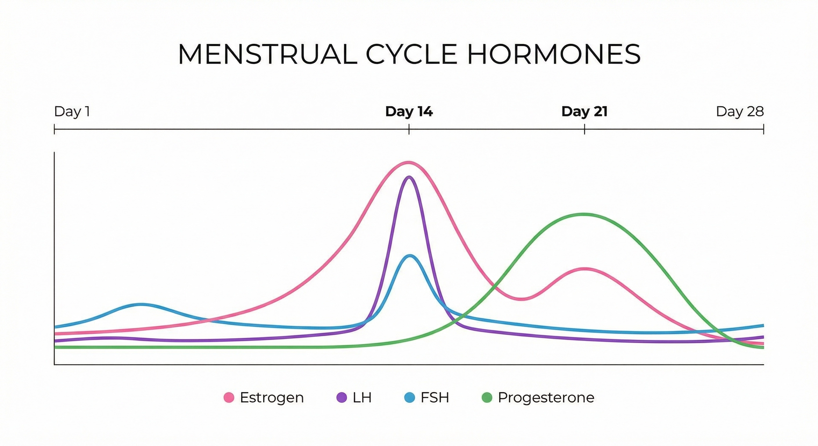 Comprehensive chart showing the fluctuations of FSH, LH, Estrogen, and Progesterone over a 28-day cycle.